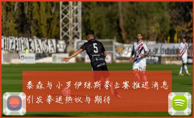 泰森与小罗伊琼斯拳击赛推迟消息引发拳迷热议与期待