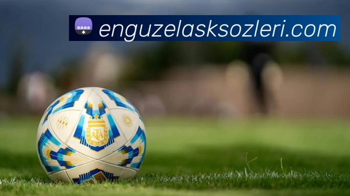 开云体育APP 体育赛事宣传图